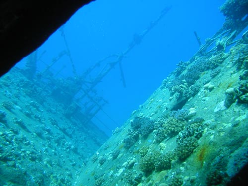 ghiannis d stern.jpg